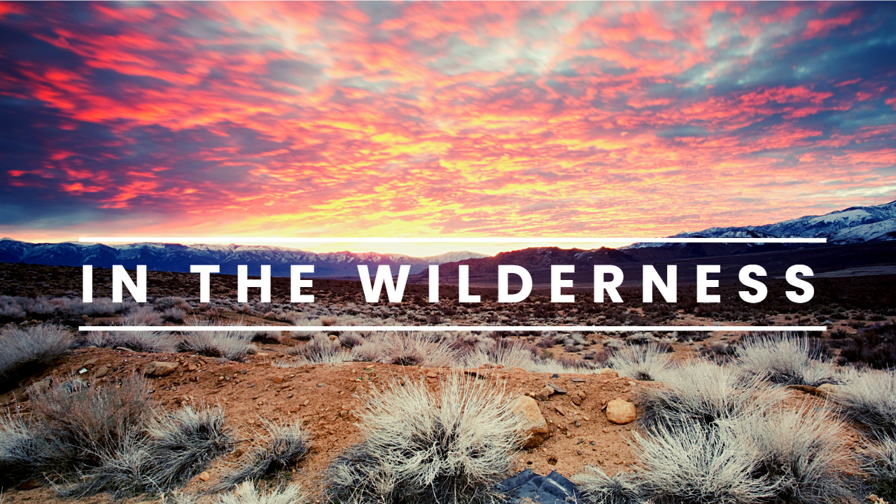 In The Wilderness